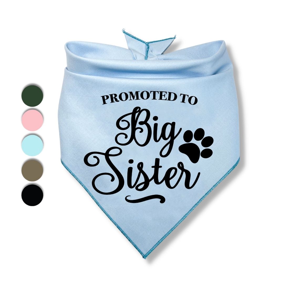 Promoted to Big Sister Bandana