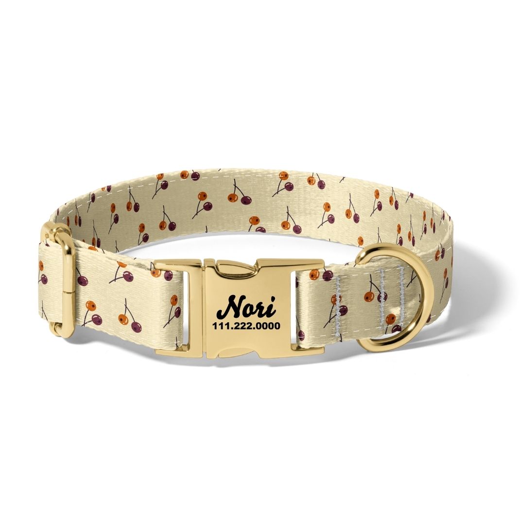 Fall Berry Autumn Dog Collar
