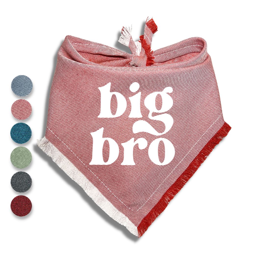 Big Bro Big Sis Bandana