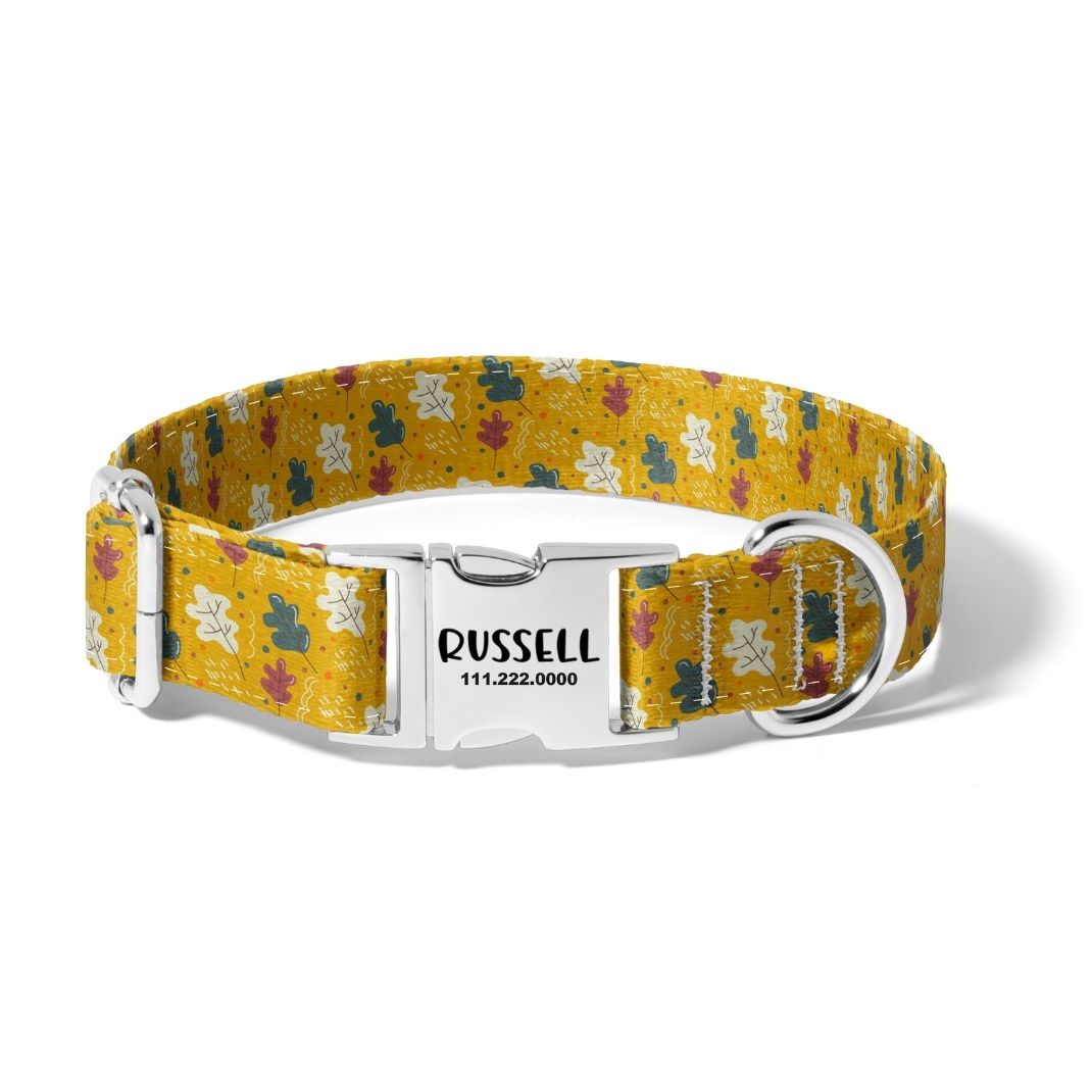 Fall Rainy Days Dog Collar