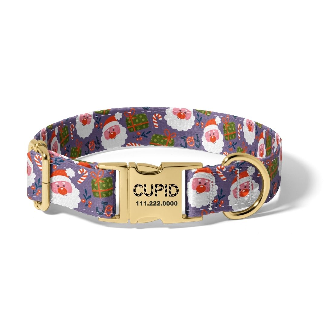 Christmas Jolly Santa Dog Collar