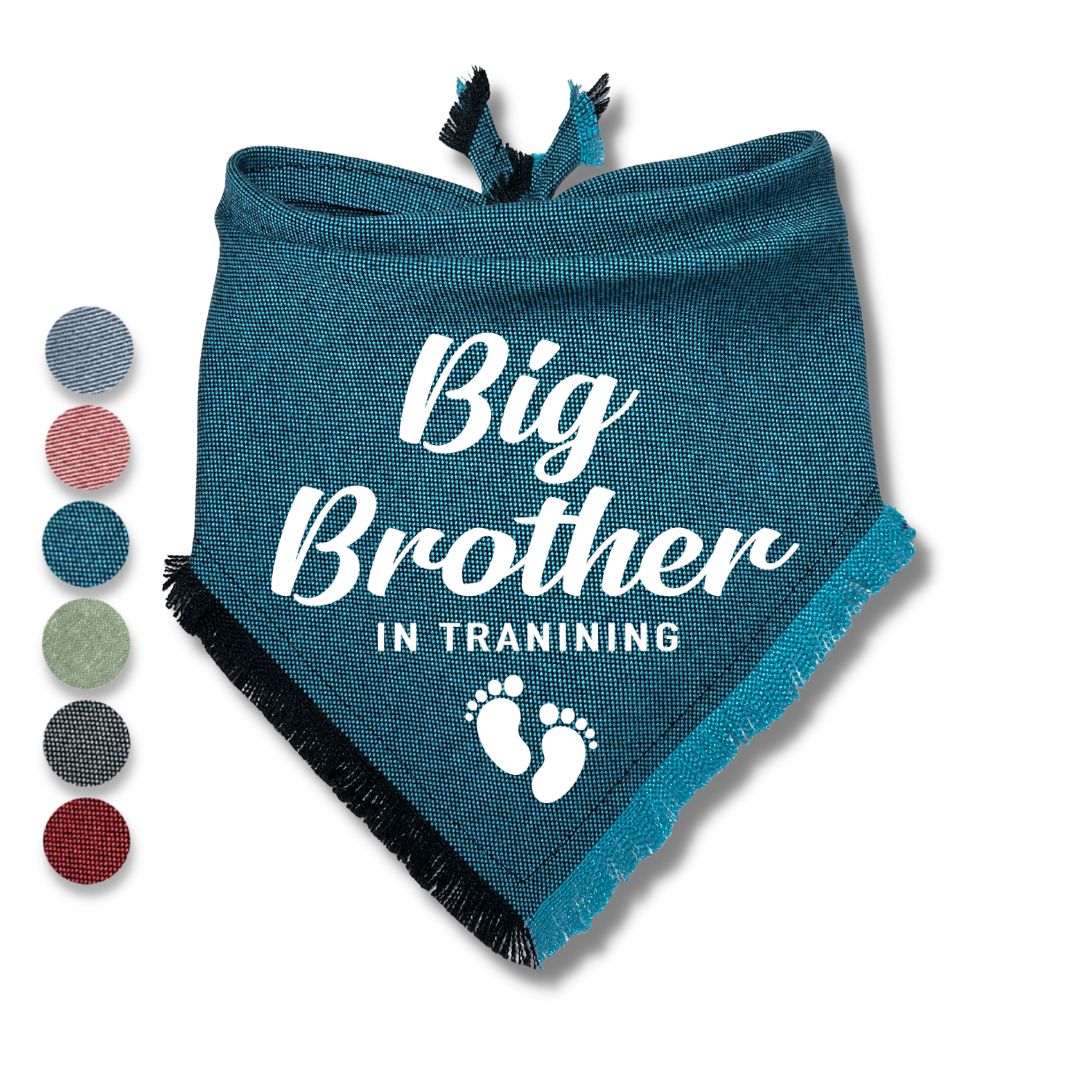 Big Brother In Training Bandana