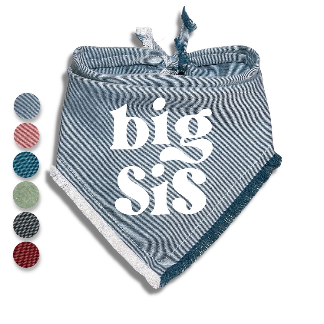 Big Bro Big Sis Bandana