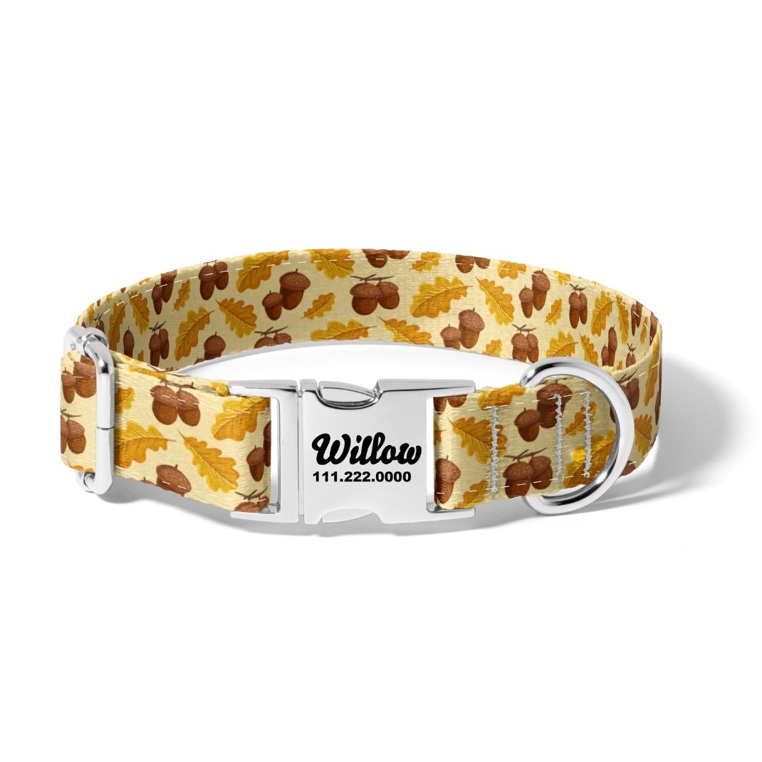 Fall Acorn Leaves Dog Collar