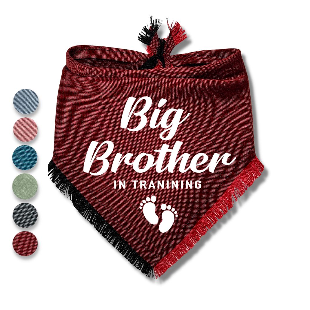 Big Brother In Training Bandana