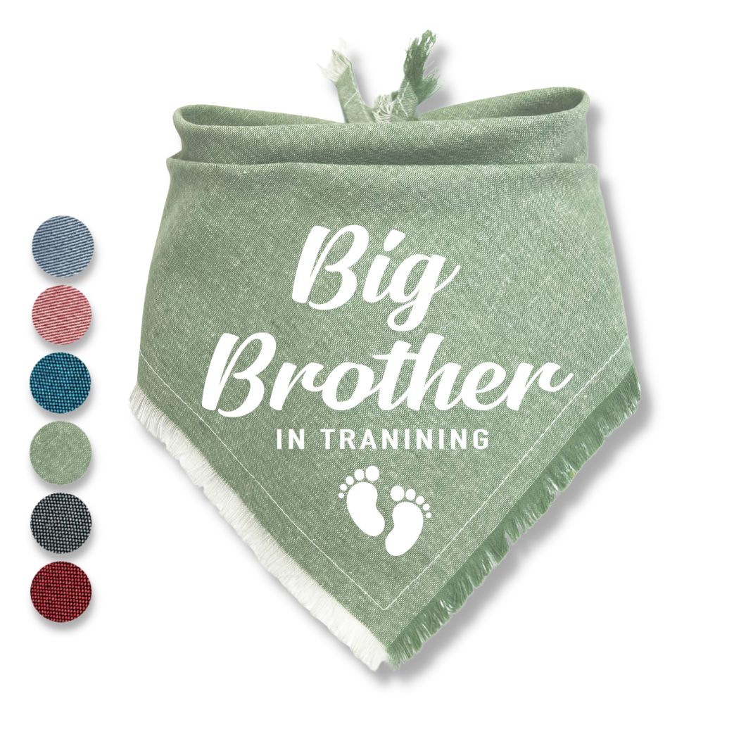 Big Brother In Training Bandana
