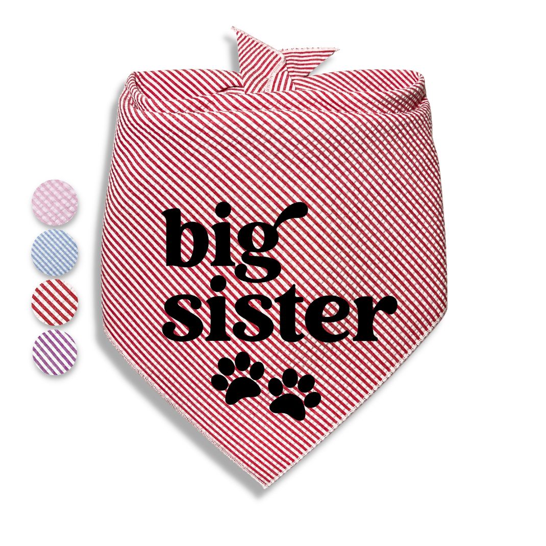 Big Brother Big Sister Paw Bandana