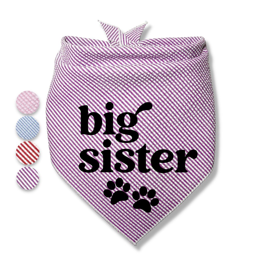 Big Brother Big Sister Paw Bandana