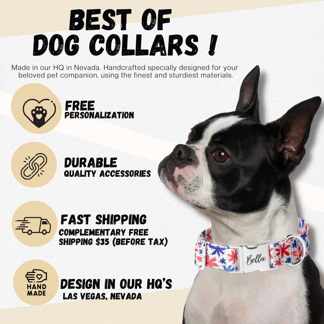 Christmas Holly Jolly Dog Collar
