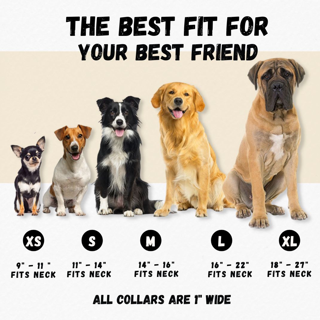 Fall Rainy Days Dog Collar