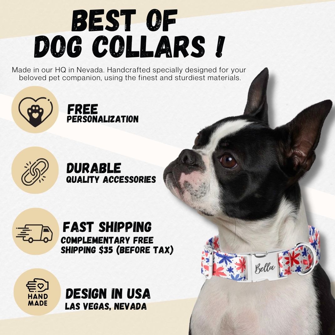 Fall Leaves and Pumpkins Dog Collar