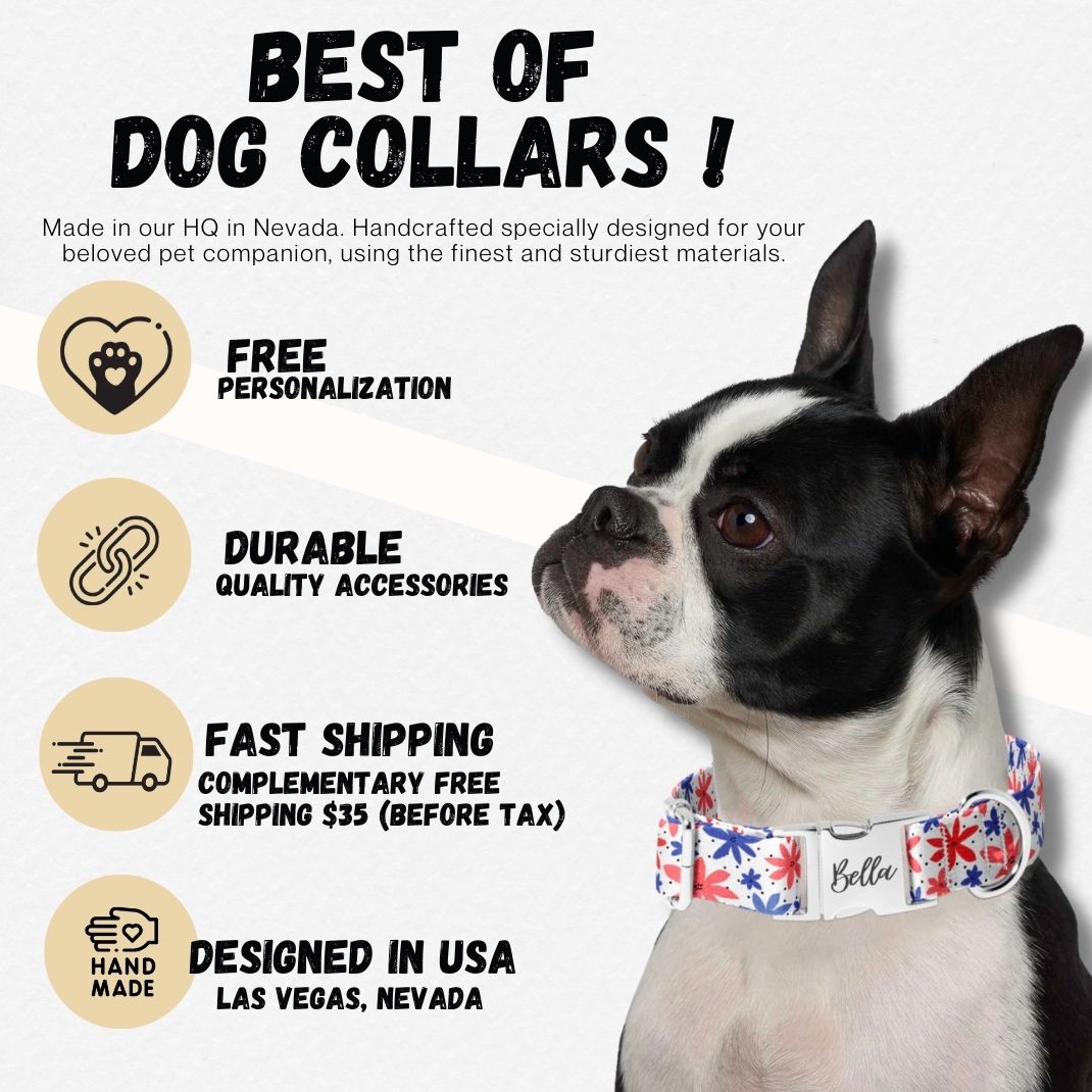 Halloween Smash Pumpkins Dog Collar