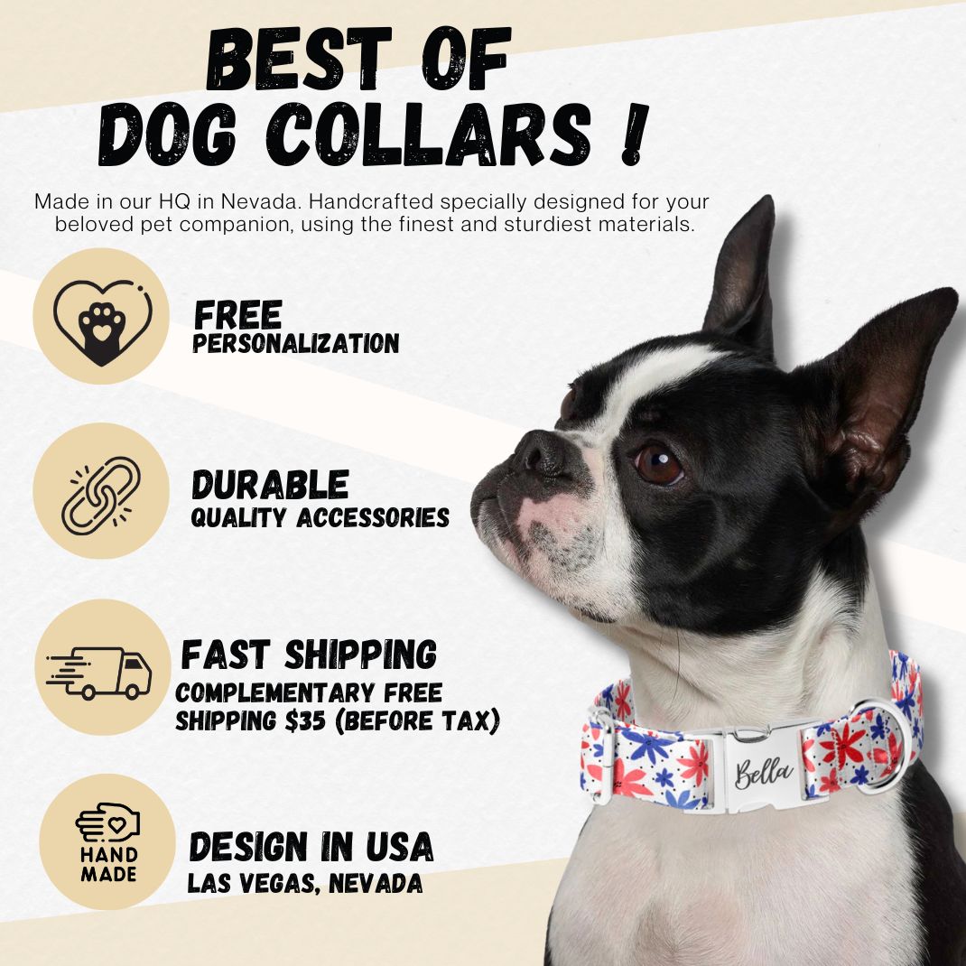 Fall Rainy Days Dog Collar