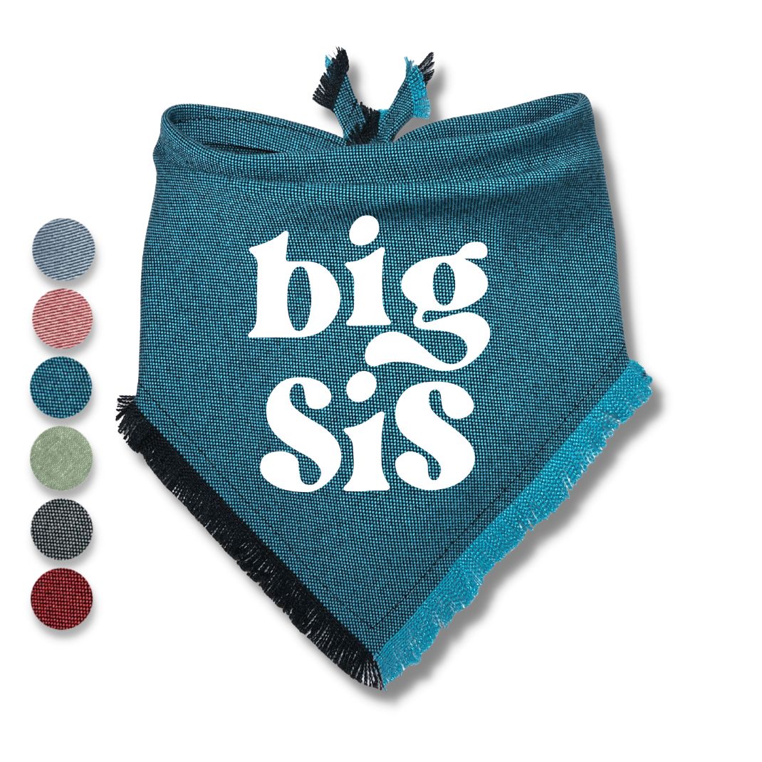 Big Bro Big Sis Bandana