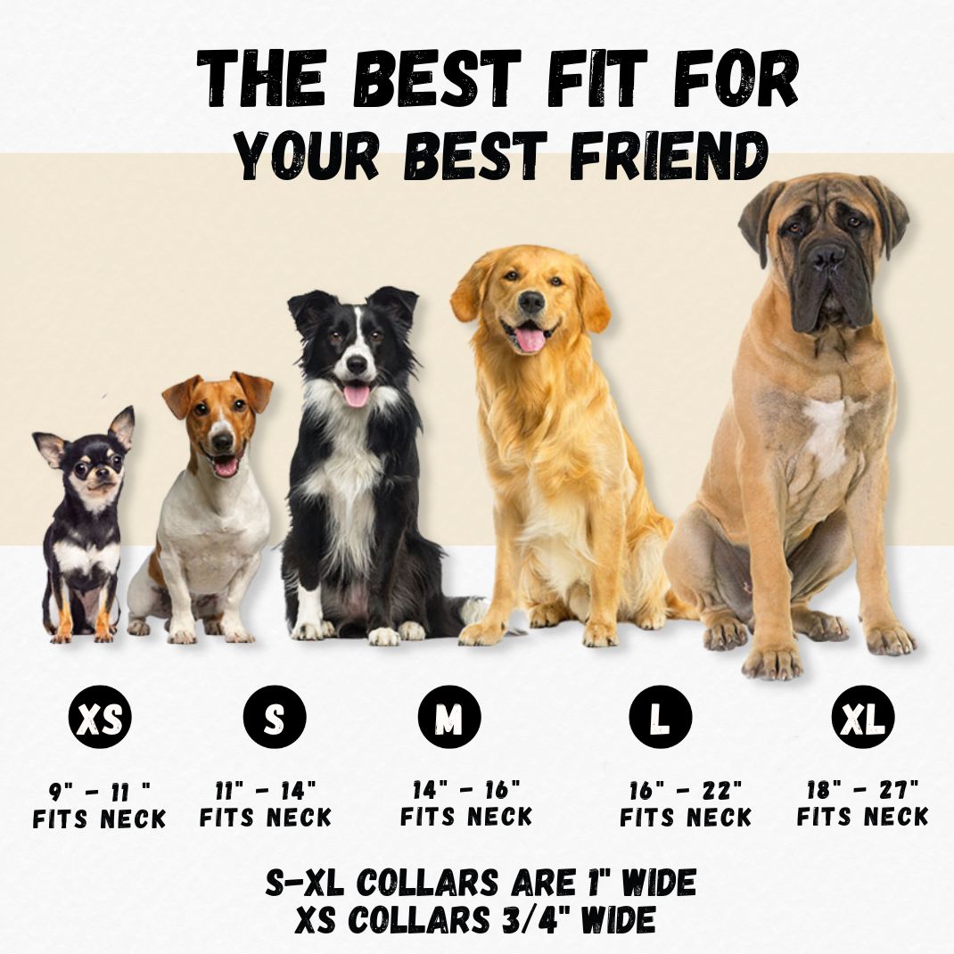 Fall Burgundy Vibes Dog Collars