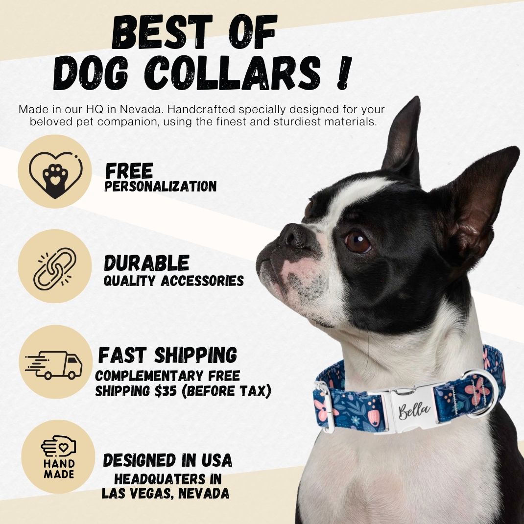 Fall Its Falling Leaves Dog Collar
