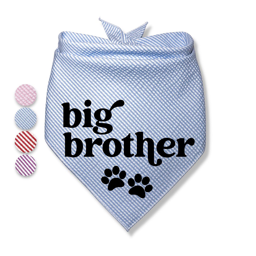 Big Brother Big Sister Paw Bandana
