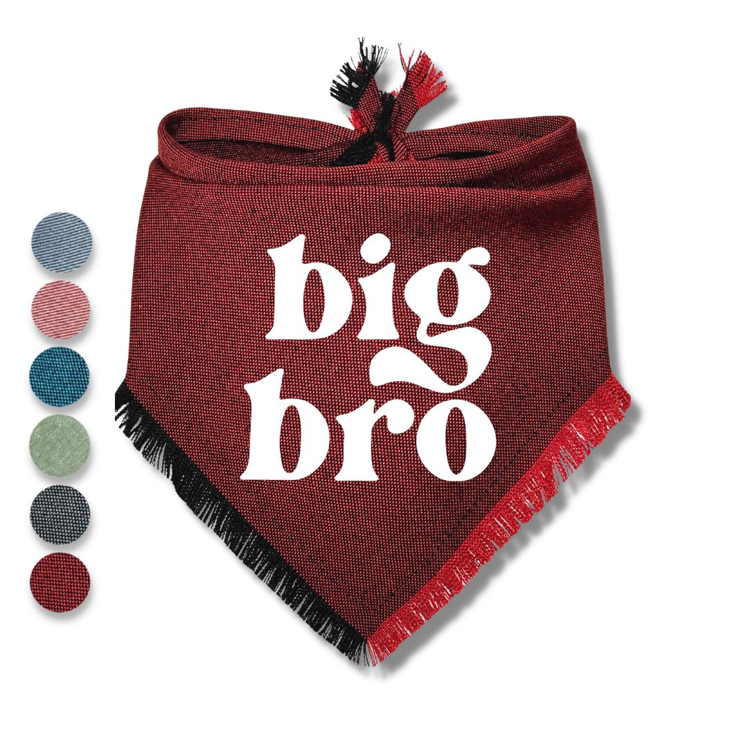 Big Bro Big Sis Bandana
