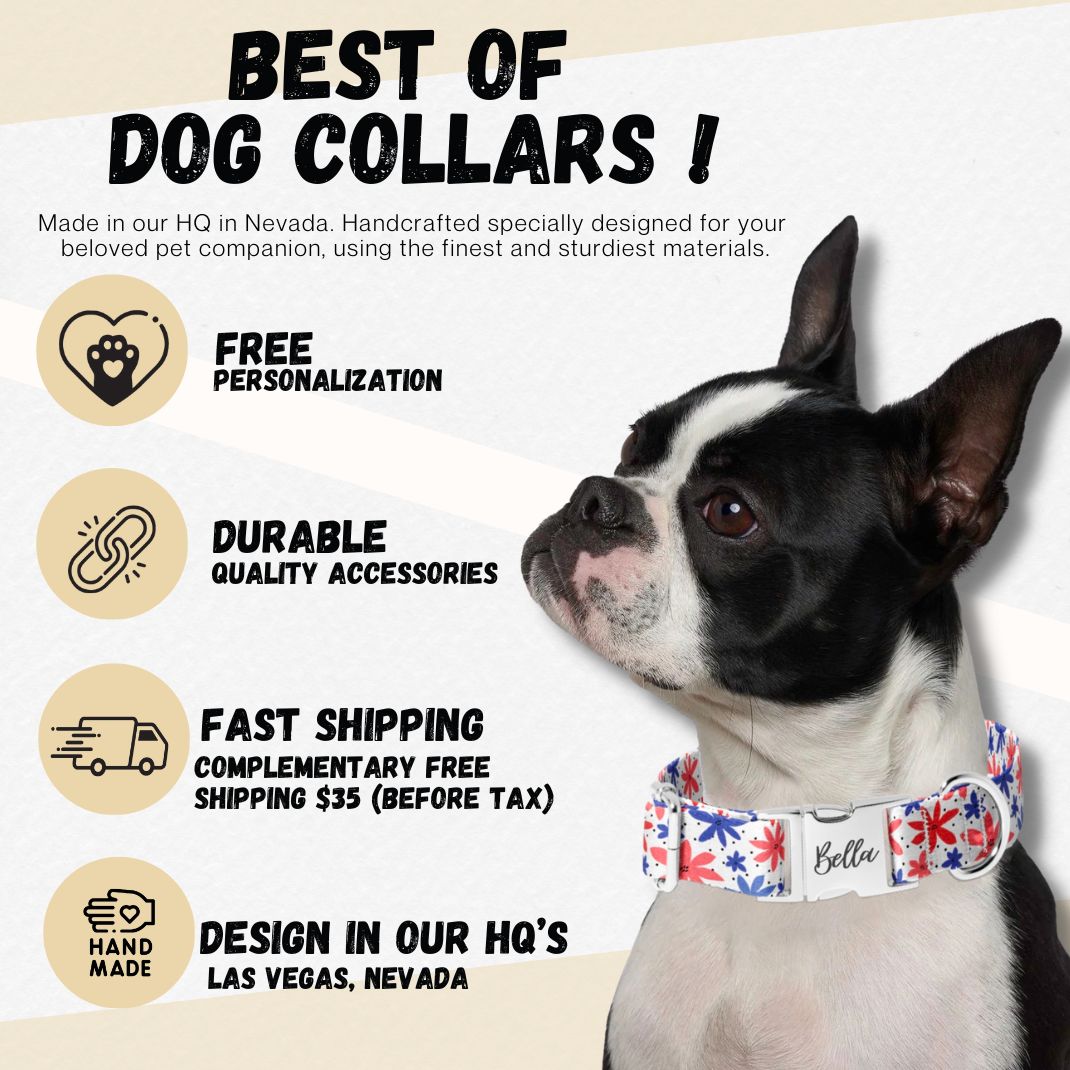 Fall Burgundy Vibes Dog Collars