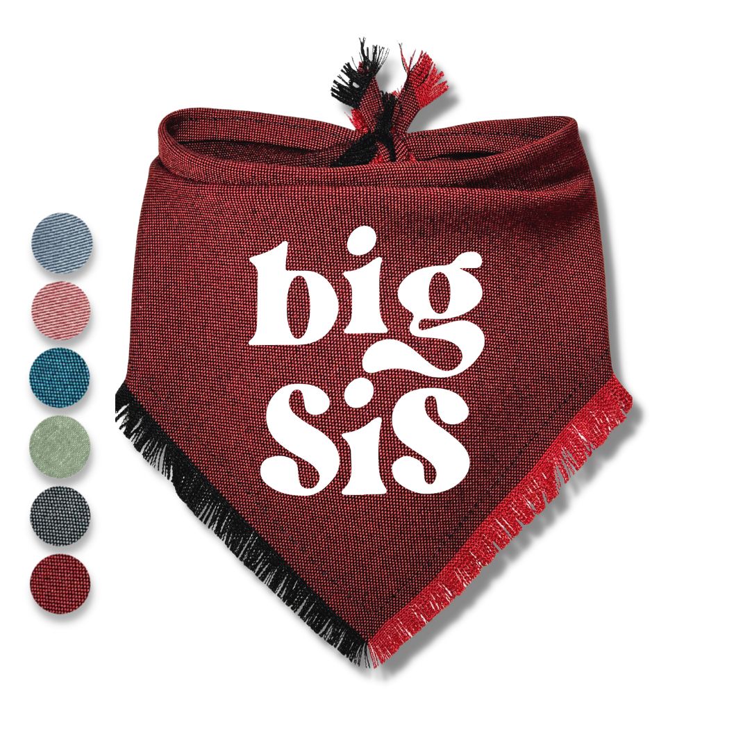 Big Bro Big Sis Bandana