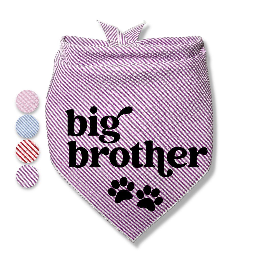 Big Brother Big Sister Paw Bandana