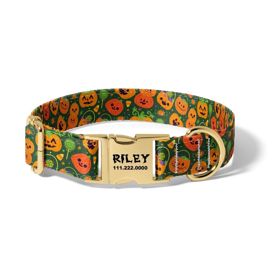 Halloween Jack o Lantern Dog Collar