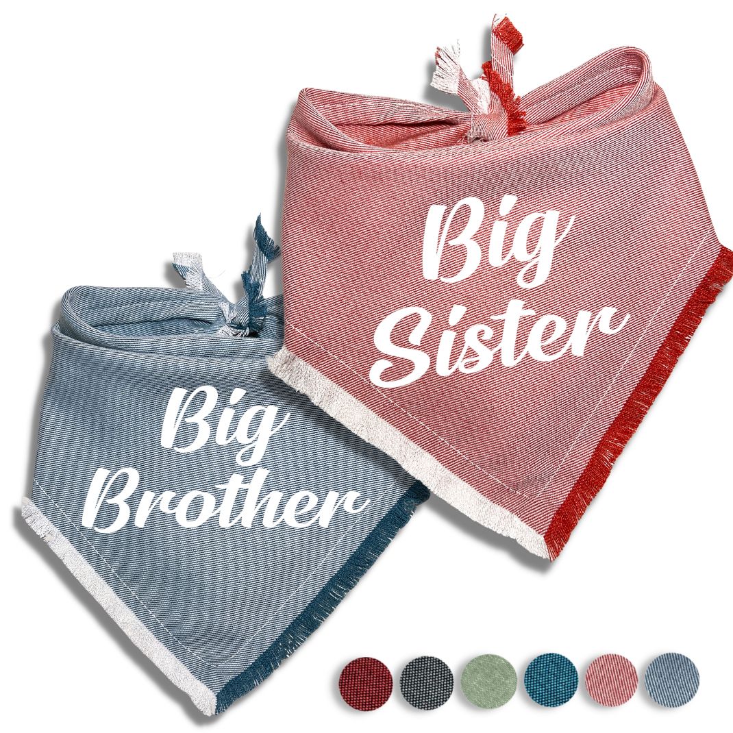 Big Brother Big Sister Bandana