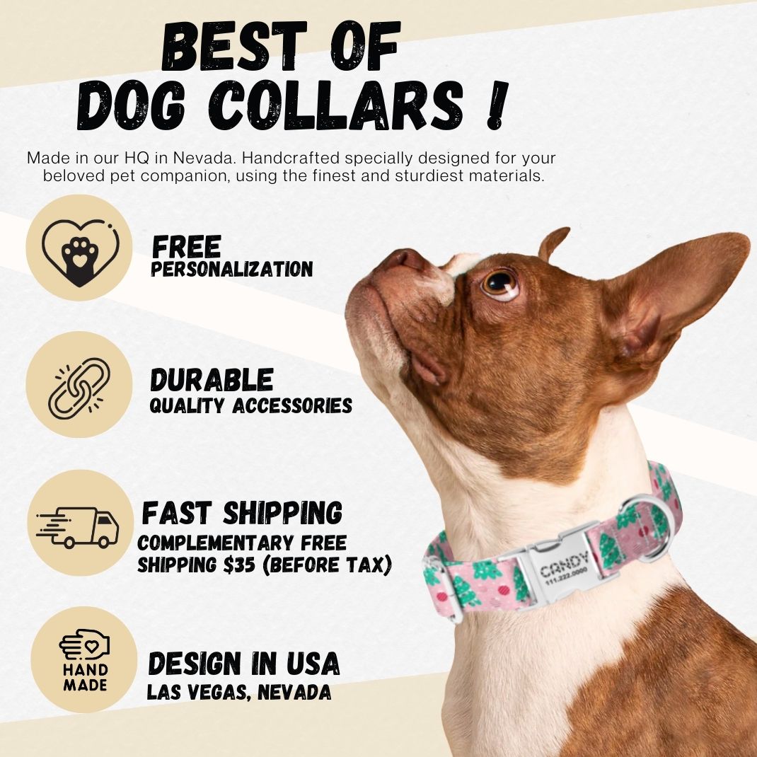 Christmas Jolly Santa Dog Collar