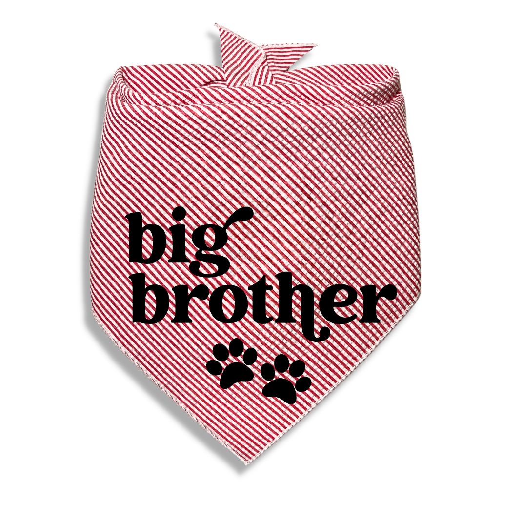 Big Brother Big Sister Paw Bandana