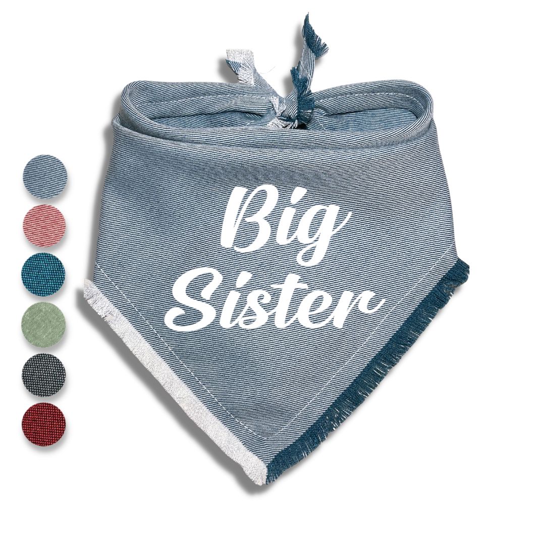 Big Brother Big Sister Bandana