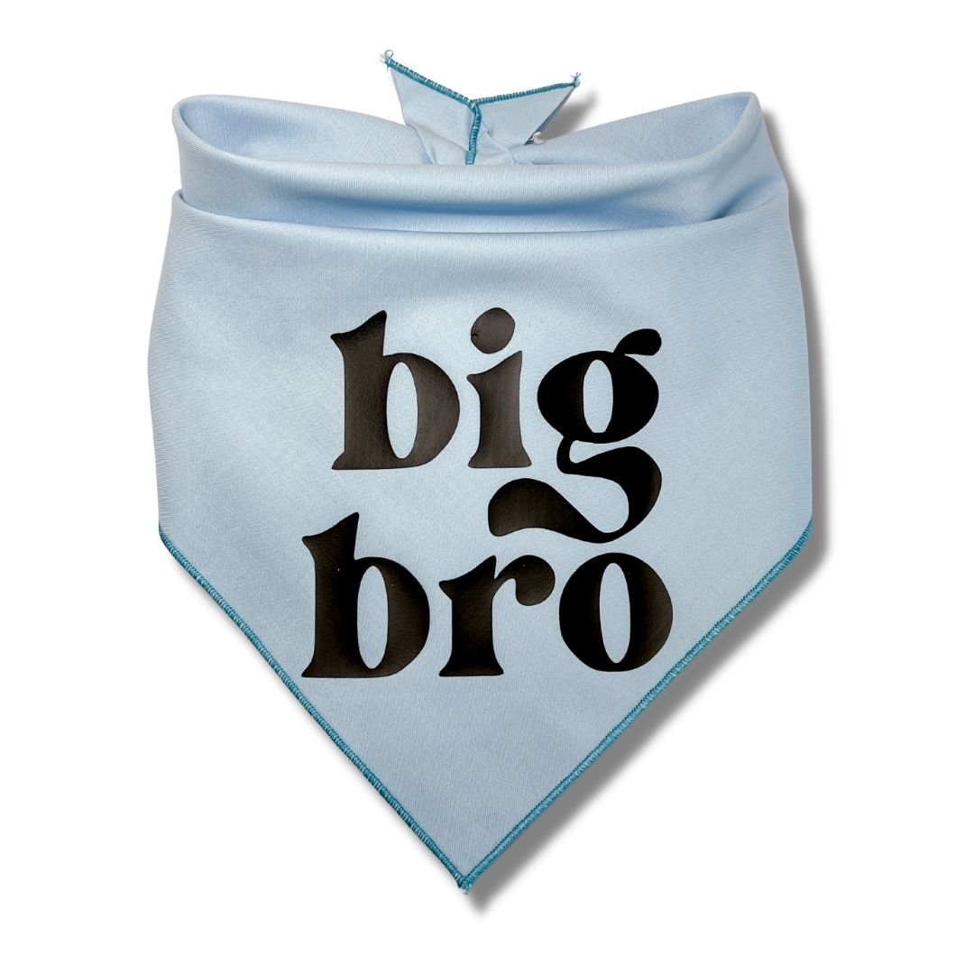 Big Bro Big Sis Bandana