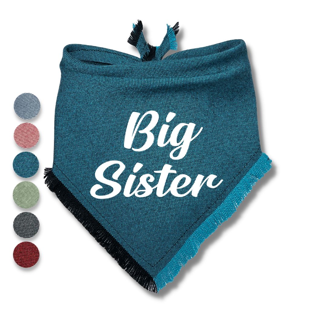 Big Brother Big Sister Bandana