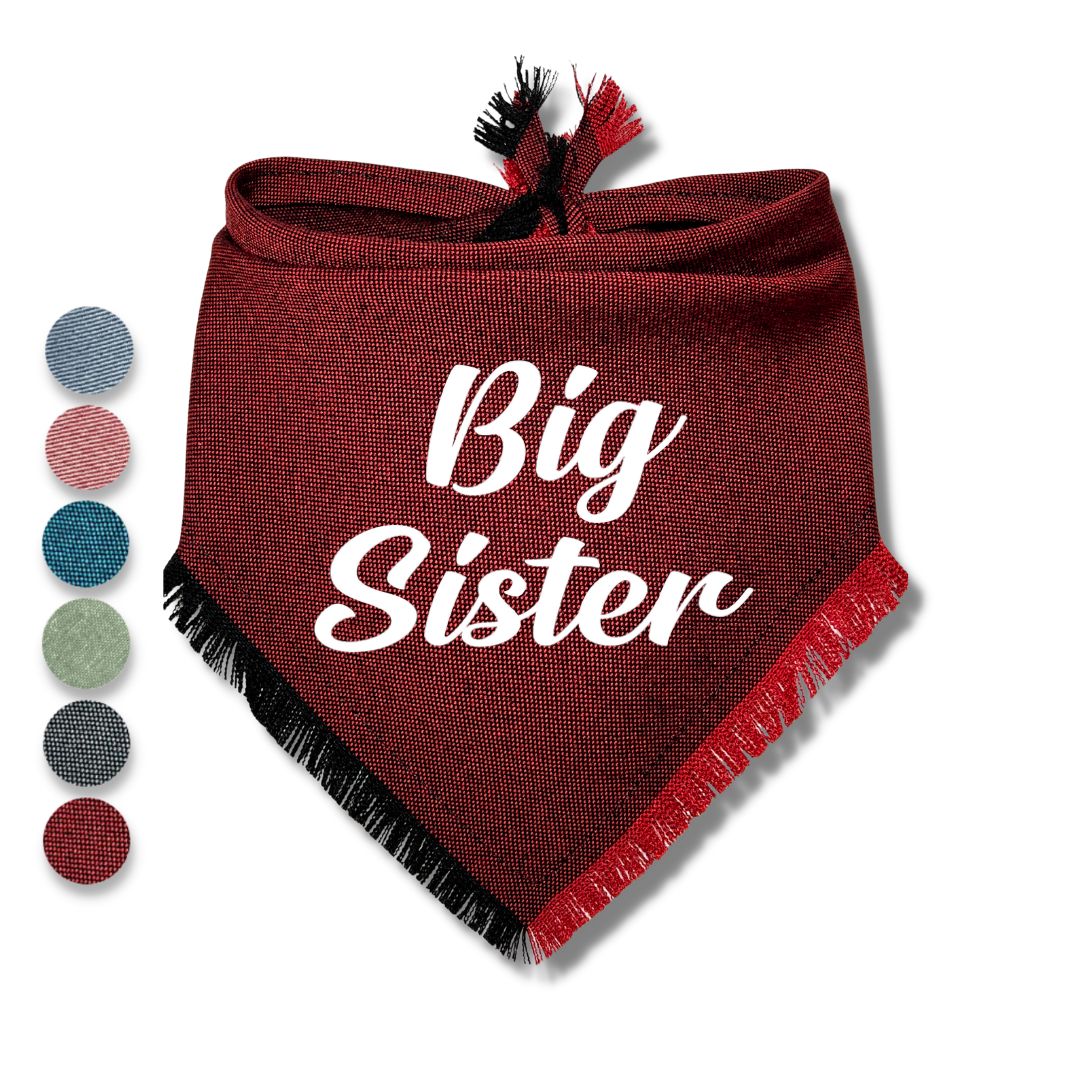 Big Brother Big Sister Bandana
