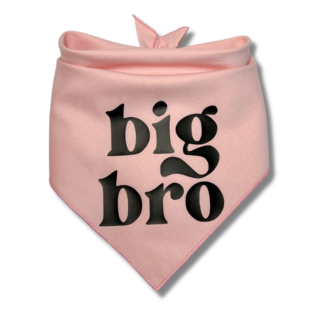 Big Bro Big Sis Bandana