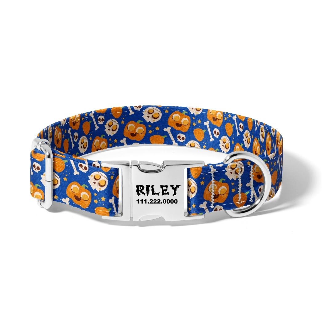 Halloween Happy Pumpkins Dog Collar