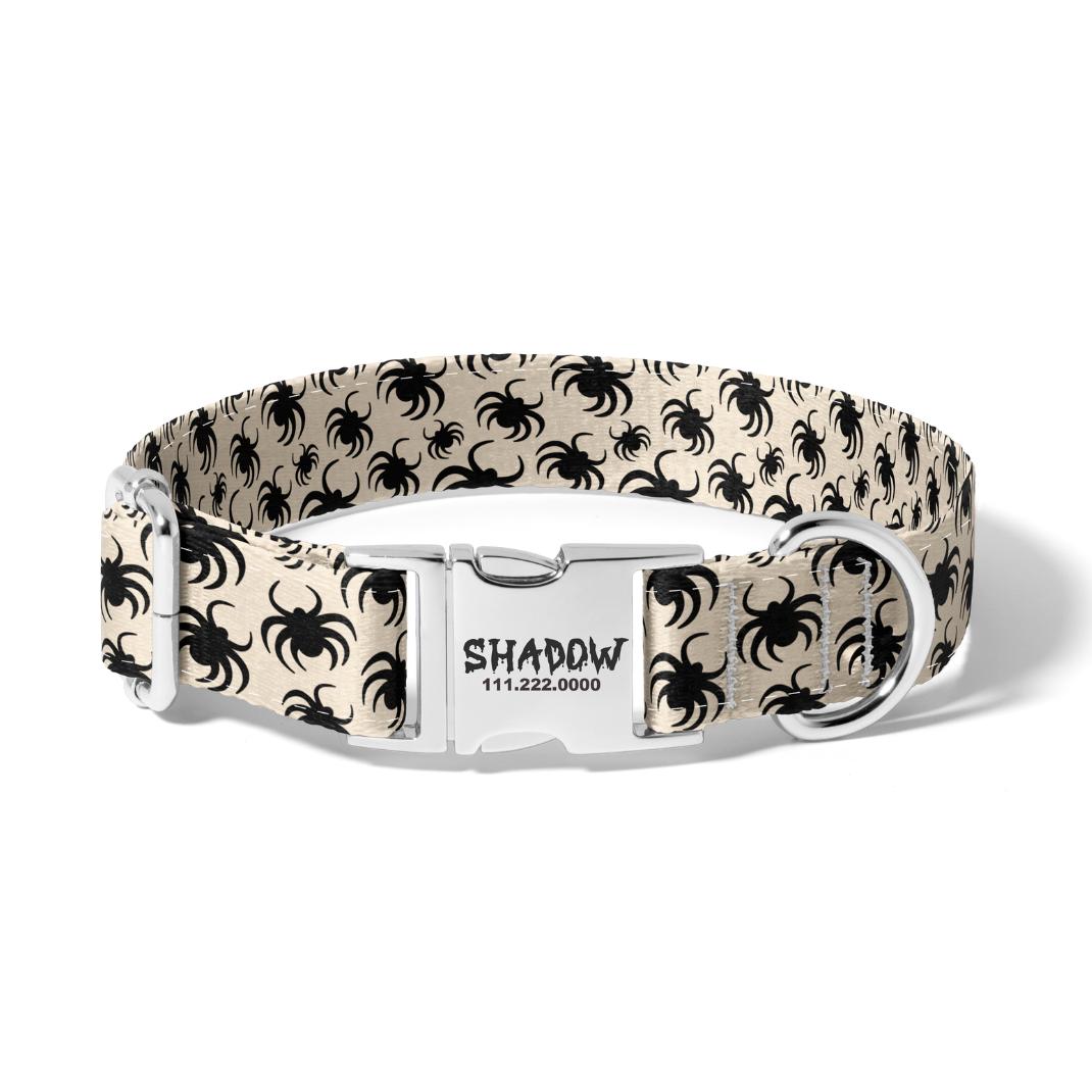 Halloween Kreepy Kritters Dog Collar