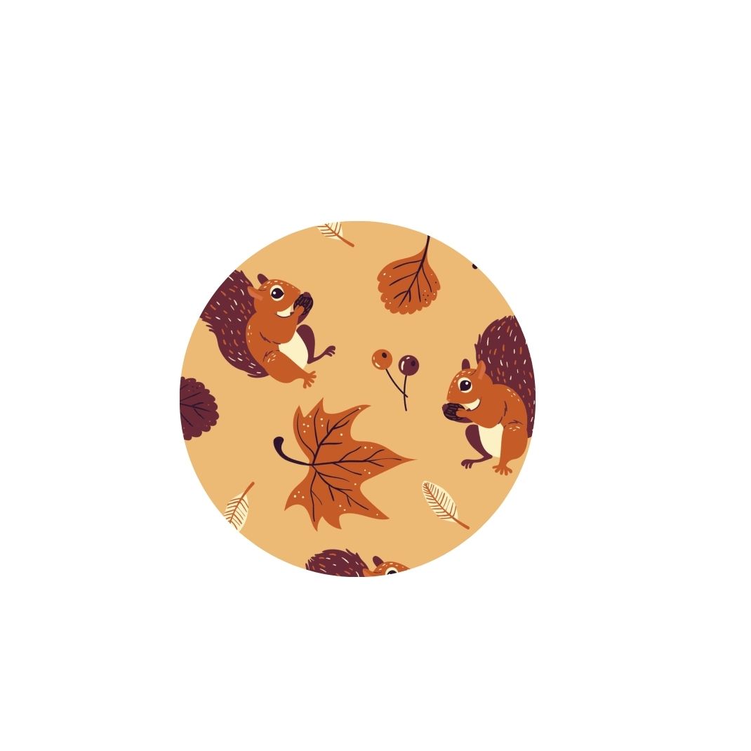 Fall Squirrels Dog Collar