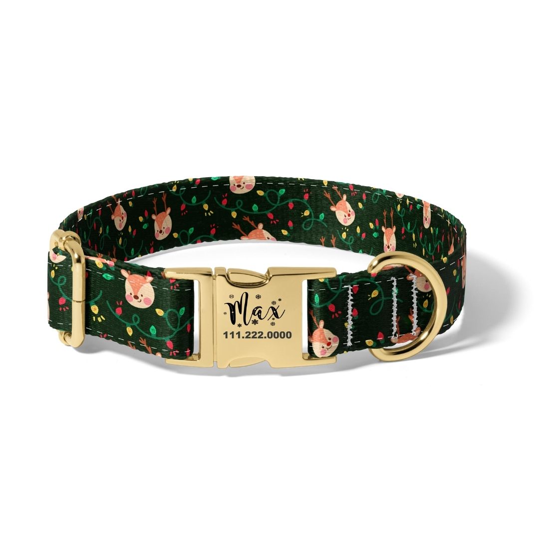 Christmas Lights And Reindeers Dog Collar