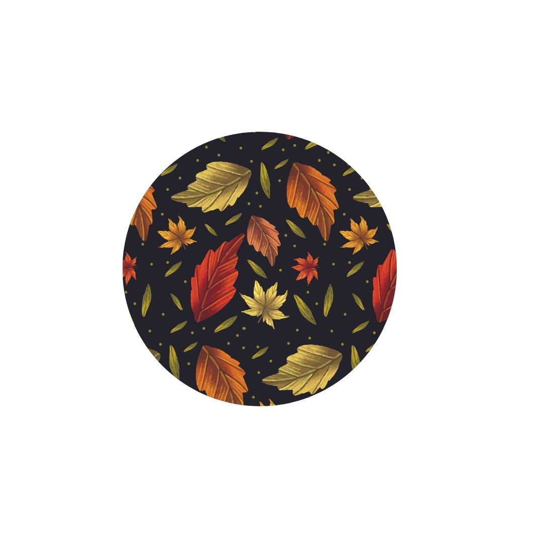 Fall Its Falling Leaves Dog Collar