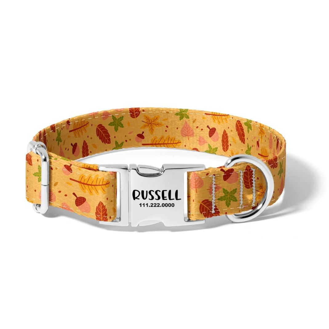 Fall Falling for Autumn Dog Collar