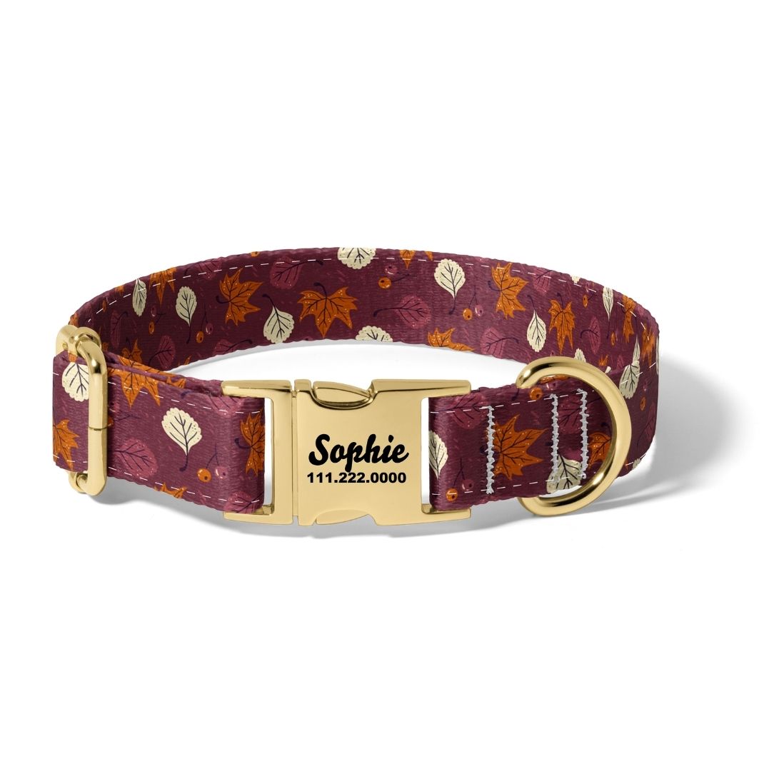 Fall Burgundy Vibes Dog Collars