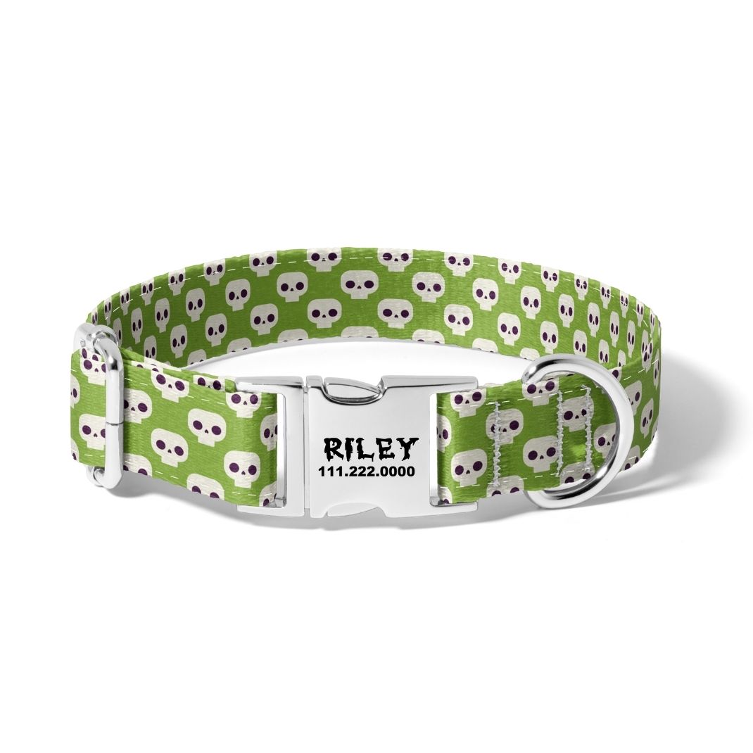 Halloween Creepy Skulls Dog Collar