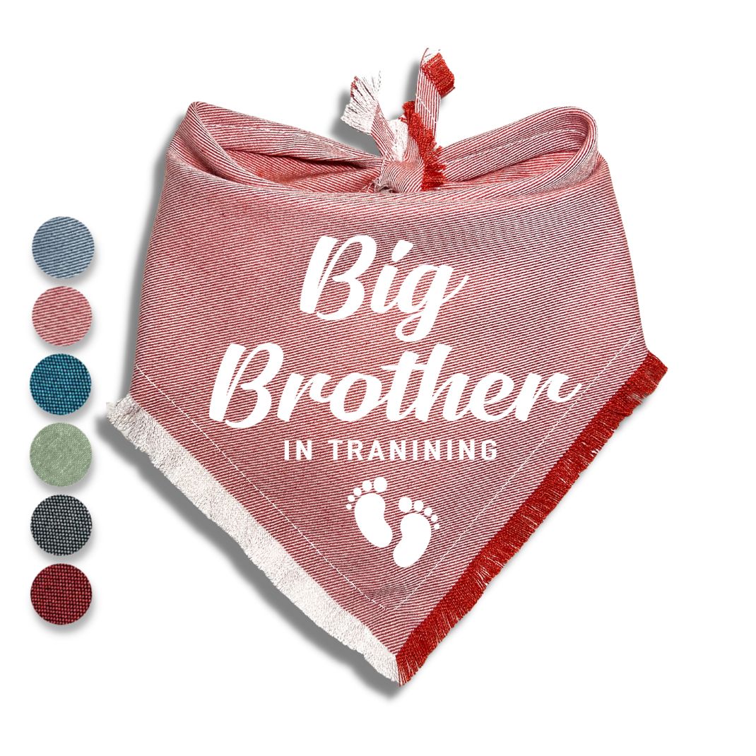 Big Brother In Training Bandana