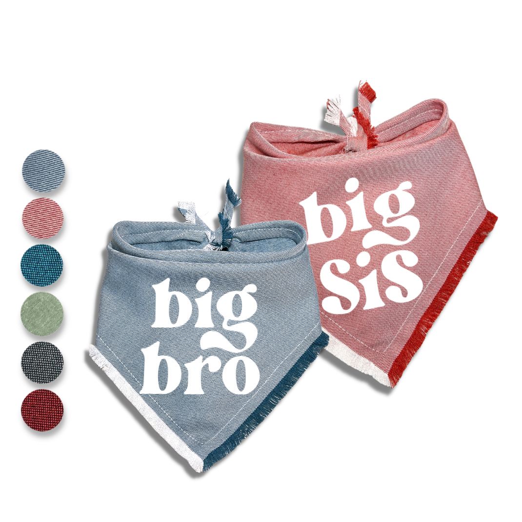 Big Bro Big Sis Bandana
