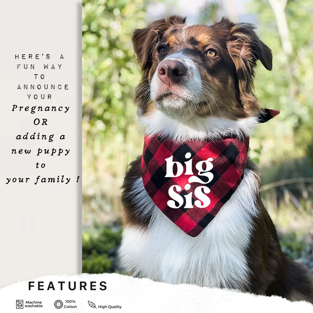 Big Bro Big Sis Flannel Bandana