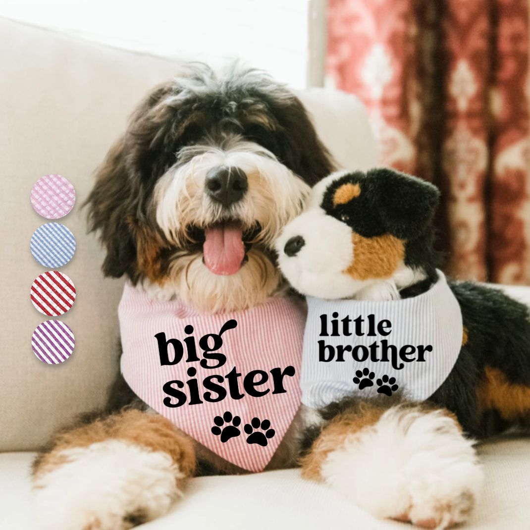Little Brother Little Sister Paw Bandana