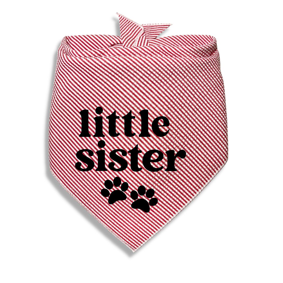 Little Brother Little Sister Paw Bandana