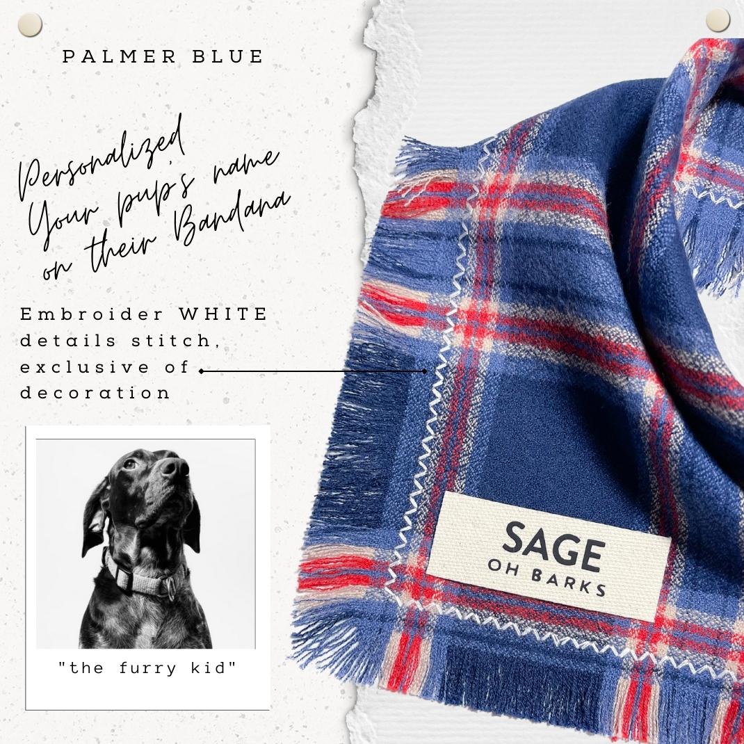 Palmer Blue