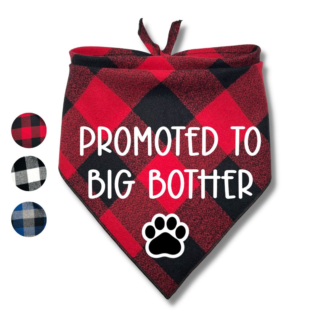 Promoted to Big Brother Big Sister Flannel Bandana