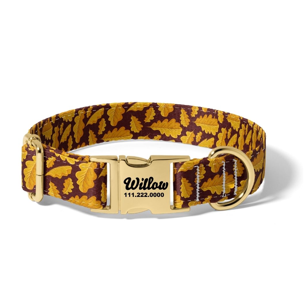 Fall Golden Leaves Dog Collar